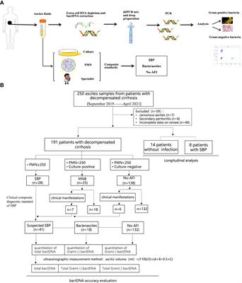 Clinical evaluation of bacterial DNA using an improved droplet digital PCR for spontaneous bacterial peritonitis diagnosis